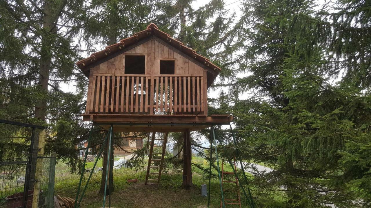 King Of The Hill Apartment Zagorska Sela Exterior photo